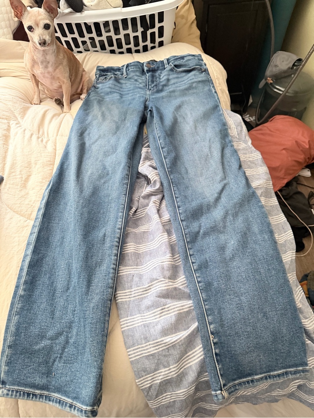 Buckle Women's Boot-Cut Jeans in Light Blue Wash